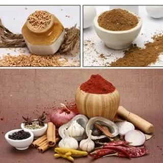 A conceptual collage for a spice blend, showing raw ingredients like garlic, chili, and cinnamon sticks alongside the ground masalas. This visual approach connects the fresh components to the final packaged product.