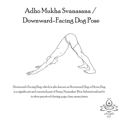 Adho Mukha Svanasana (Downward-Facing Dog) is an essential pose that energizes the body, stretches the shoulders and hamstrings, and builds strength in the arms and legs.