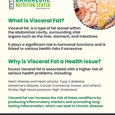 Understanding your body is the first step to transforming it. We educate our clients about important health markers like visceral fat and how managing it is crucial for preventing long-term health issues.