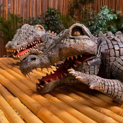 A close-up of the crocodile puppets created for the 'Phir Aayi Haseen Dilruba' promotion on Netflix. The detailed scaling, teeth, and lifelike eyes are crucial for making the creature believable on camera.