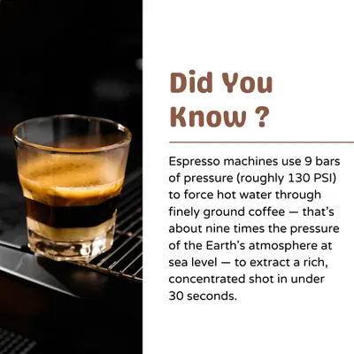Did you know? A fun fact about the high pressure (9 bars) used by espresso machines to extract a concentrated shot in under 30 seconds.