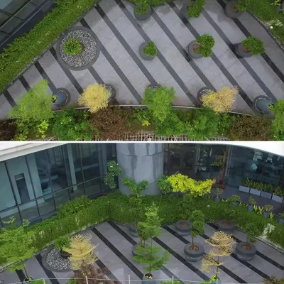 An aerial view of the 'Stripe Play' corporate plaza. The design uses striking striped patterns in the flooring, softened by synchronized planters and green edges, creating a green refuge with a quirky, modern edge.