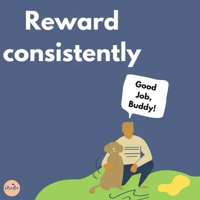 The key to successful toilet training is positive reinforcement! When your puppy goes in the right spot, reward them enthusiastically. This makes them want to repeat the behavior.