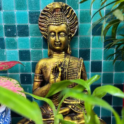 I love creating peaceful corners by pairing plants with serene decor. This golden Buddha statue, set against a vibrant blue tile background and framed by green leaves, creates a perfect spot for meditation and calm.