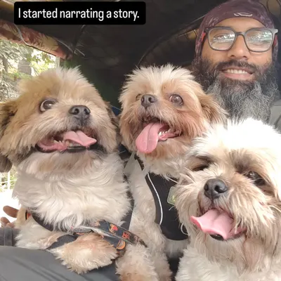 This is the moment right before I started telling a story. Look at their happy, expectant faces. I love my job.
