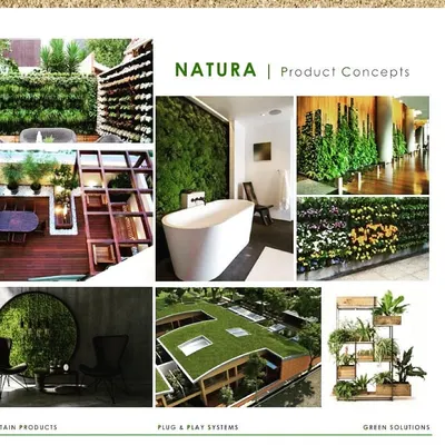 This collage showcases our key product concepts, from moss walls and vertical gardens to rooftop lawns and custom green havens. We focus on creating easy-to-maintain, plug-and-play systems that provide sustainable green solutions for any urban environment.