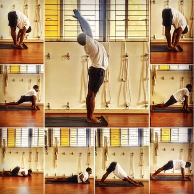 The Surya Namaskara, or Sun Salutation, is a cornerstone of our practice for its ability to sync the body with its natural circadian rhythms. This collage shows the key movements of the sequence, which helps regulate the nervous system and awaken the entire body.