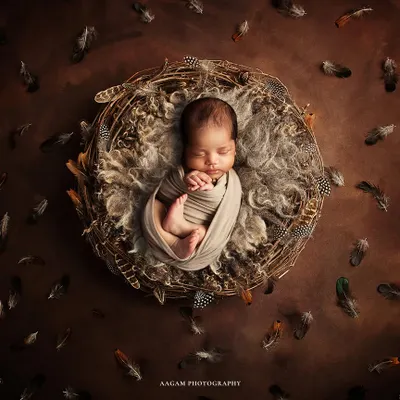 A miracle of new beginnings. This artistic setup with a nest and delicate feathers creates a beautiful, symbolic portrait of your newborn, safely swaddled and dreaming peacefully.