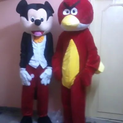 I can arrange for character mascots to surprise your guests. Here are the full costumes for Mickey Mouse and the Angry Bird, ready to bring smiles and create great photo opportunities at your child's birthday party or family gathering.