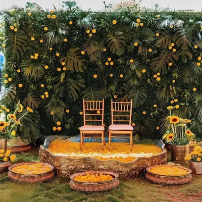 A beautiful Haldi setup combining a lush green backdrop of monstera leaves with bright yellow marigolds for a tropical, vibrant feel.