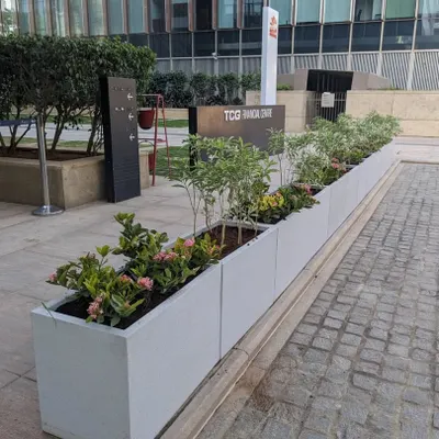 A wide view of the completed installation at the TCG Financial Centre. The row of modern, rectangular FRP planters creates a clean, green border along the building's exterior, enhancing its professional aesthetic.