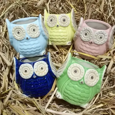Add some fun to your plant collection with these colorful, owl-shaped ceramic planters. They are perfect for small succulents or cacti and make a great gift.