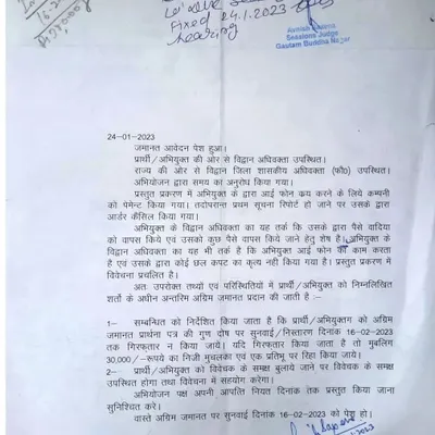 Interim bail order granted by the court. This document is an interim bail order we secured for a client, providing immediate relief from arrest while the case proceeds.