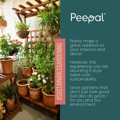 An example of sustainable and stylish design. This balcony features plants in terracotta pots on wooden racks and hanging coir baskets, all of which are natural, breathable, and eco-friendly materials.