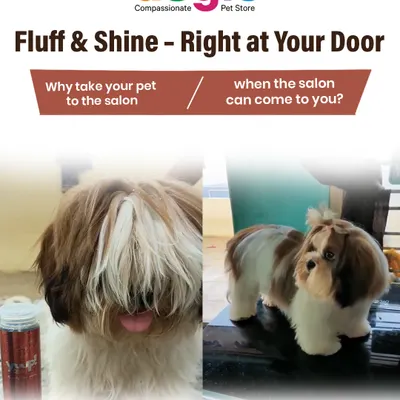 Fluff and shine, right at your door. Why take your pet to the salon when the salon can come to you? We offer a professional, gentle, and stress-free grooming experience without you ever having to leave home.