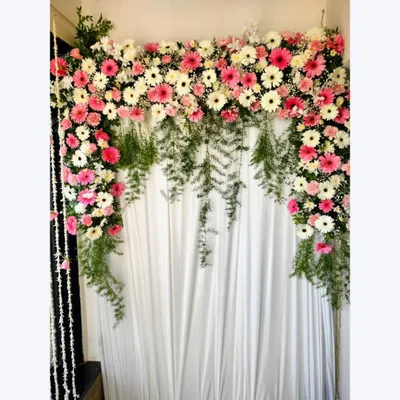 A beautiful backdrop for a Ganpati celebration at home. This simple yet elegant design features an arch of pink and white gerbera daisies with cascading green foliage against a clean white curtain.