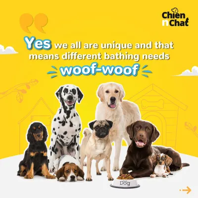 Yes, we are all unique, and that means different bathing needs. This series of posts explains how to choose the right shampoo and bathing technique based on your dog's coat type and size.