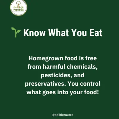 The most important reason to grow your own food is to know what you eat. Homegrown food is free from harmful chemicals and pesticides, giving you complete control over what goes on your plate.