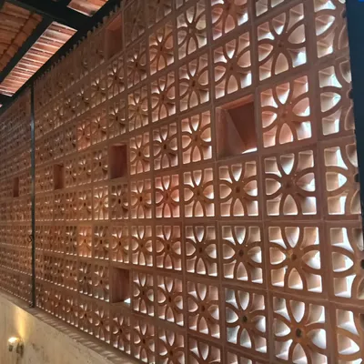 This is a full view of a terracotta jaali screen wall I installed on a balcony. The intricate floral pattern not only adds a beautiful design element but also allows for natural light and airflow while maintaining privacy.