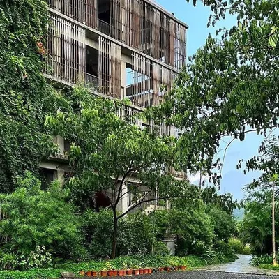 The Avasara Academy campus during the monsoon is a testament to the power of long-term, sustainable landscape design. The greenery has completely taken over, creating a cool and shaded environment.