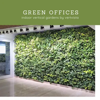 A floor-to-ceiling living wall in a modern office space. This installation acts as a natural air purifier and a stunning visual centerpiece, promoting a healthier and more vibrant work environment for employees.