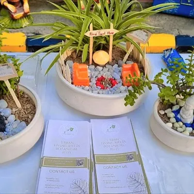Here is a selection of my miniature desk gardens on display at an event. Each one offers a different theme, from a tranquil zen garden to a playful campsite, showing the variety I can create for corporate or personal gifting.