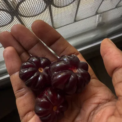 A look at my own plate, featuring homegrown Surinam cherries. I love using traditional ingredients like soppina huli and pattrode, always connecting back to my roots.