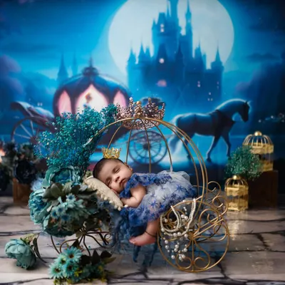 A sleeping Cinderella in her enchanted carriage, on her way to the ball. This setup uses a magical castle backdrop to create a true fairytale scene.