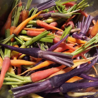 A bowl of vibrant, multi-colored heirloom carrots. We believe in starting with the best, which is why we source fresh, exotic, and high-quality ingredients that are the foundation of our creative and flavorful dishes.