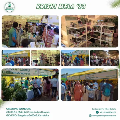 This collage captures the vibrant atmosphere at our stall during Krishi Mela '23. We were delighted to see so many people interested in learning about indoor air purifier plants and sustainable gardening.