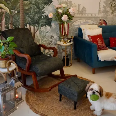 Hello from my furry boy. He's my little model, always ready to pose amongst the plants and decor. Here he is with his favorite ball in our cozy corner.
