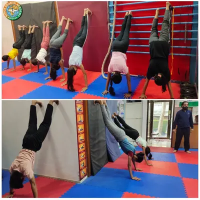 Handstand drills are a core part of our training to build shoulder strength and balance. Students practice against the wall and with partners to perfect their form.