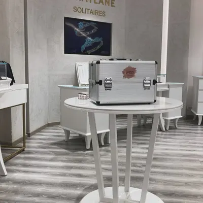 My professional makeup kit, ready for a masterclass at the elegant Caratlane store. I bring all the necessary tools and products to provide a complete learning experience.