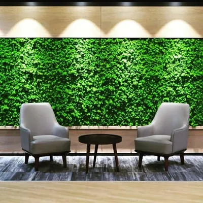 A full-length preserved moss wall installation for Akamai Technologies, designed as a serene backdrop in a common seating area. The vibrant green texture provides a natural visual element and also helps with sound absorption in the open space.