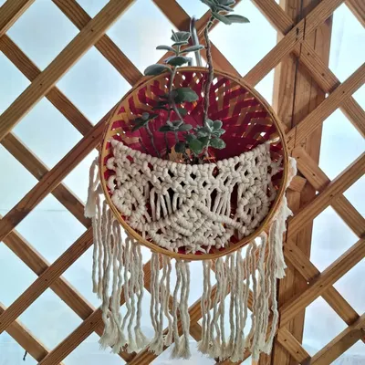 This macrame wall basket is one of my favorite ways to display 'planties'. The pocket holds a small pot securely, and the fringe adds a soft, decorative touch.