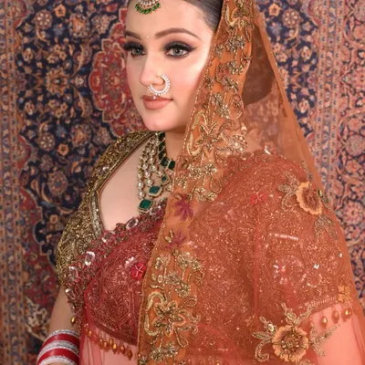 A classic bridal portrait showcasing a flawless HD makeup base with defined, smokey eyes and a perfectly placed maang tikka. The look is completed with an intricately embroidered dupatta, creating a regal and timeless feel.