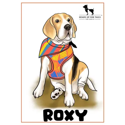A full-color digital illustration of a Beagle named Roxy, created for a pet shop event. I love capturing the distinct features and colorful accessories of every pet.