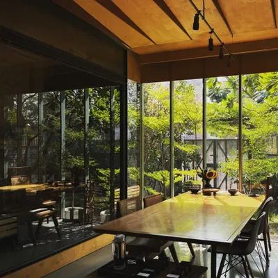 Morning sun filtering through the trees into our studio's meeting area. The floor-to-ceiling glass walls dissolve the boundary with our garden, making us feel connected to nature throughout the day.