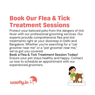 Book a flea and tick treatment session to safeguard your pet. My professional grooming and treatment services are available at your home, providing comprehensive protection against dangerous parasites.