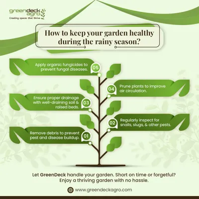 The rainy season requires special care for your garden. This infographic provides five key tips, from ensuring proper drainage to inspecting for pests, to keep your garden healthy during the monsoon.