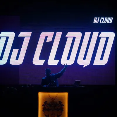 On stage is where I belong. This shot captures me in my element, silhouetted against my logo, ready to take the crowd on a musical journey. It's just me, the decks, and the music.
