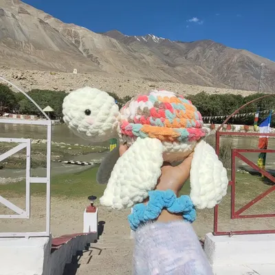 Meet Olly, my handmade crochet turtle plushie, enjoying the mountain scenery. His shell is made with a colorful pastel yarn, and his head and flippers are a soft, creamy white. He is the perfect size for cuddling and makes a wonderful, unique gift.