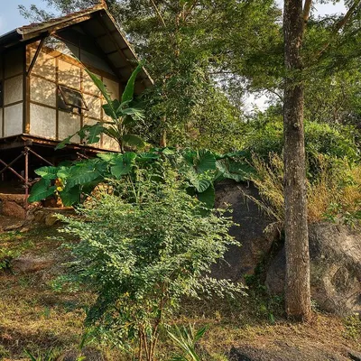 Our earthen prefab prototype cottage, elevated on stilts and nestled into a rocky, natural landscape. This demonstrates how our prefab designs can be adapted to various sites with minimal disturbance to the land.