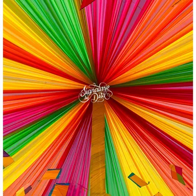 I love using fabric to transform a space. For this Holi party, I created a spectacular tented ceiling with radiating panels of vibrant color, decorated with kites to complete the festive look.