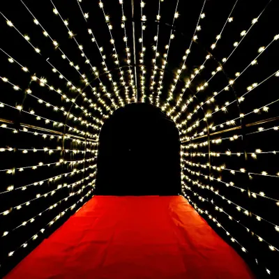 Create a breathtaking entrance or photo opportunity with my fairy light tunnel. The glowing arches and red carpet combine to make every guest feel like a VIP.