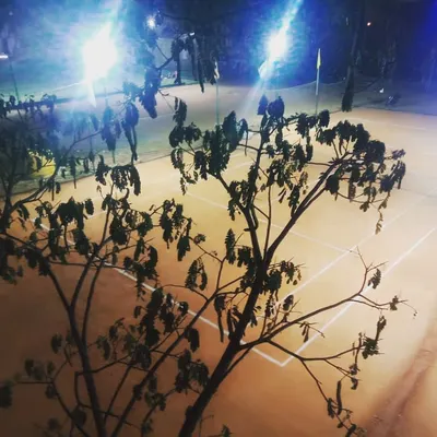 A beautiful view of our tennis academy under the lights. Our floodlit courts mean we can offer flexible evening batches, perfect for junior players to train without affecting their schoolwork.