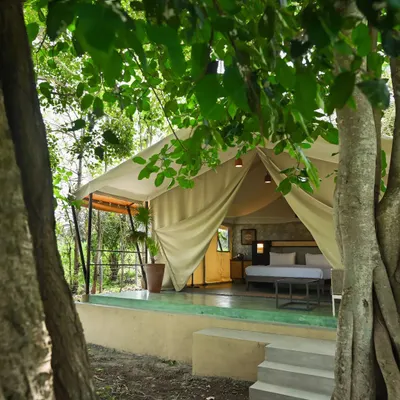 At Fireflies Resort, the landscape and walkways move organically through the trees. Each tent is its own private zone, creating an intriguing experience of discovery and a deep connection to the natural setting.