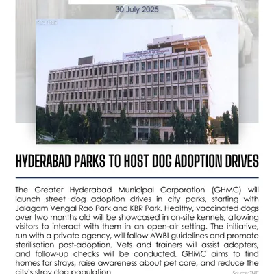 We also act as an information hub for animal welfare. Here, we shared news about the Greater Hyderabad Municipal Corporation's initiative to host street dog adoption drives in city parks, connecting more people with adoptable indie dogs.