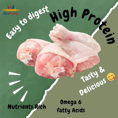 I often get asked why I insist on using real chicken. This graphic breaks it down. It's not just about taste; it's packed with high-quality protein, omega-6 for a healthy coat, and is easy for them to digest. This is the kind of nutrition that processed biscuits or doodh-roti can never provide.