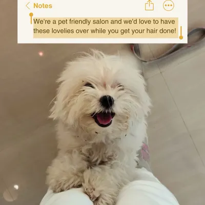 Just a little note to say your furry friends are always welcome here. We are a pet-friendly salon because we know they are part of the family.